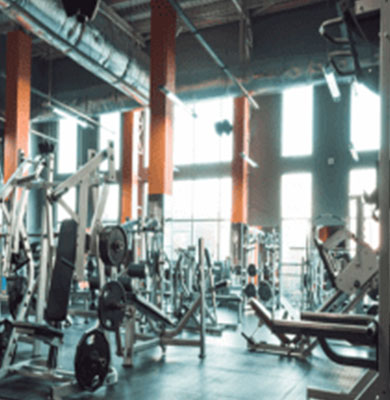 Gym-Fitness